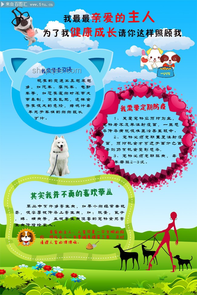 小狗遭棄與負(fù)責(zé)任養(yǎng)寵行為的對(duì)比分析 小狗遭棄與負(fù)責(zé)任養(yǎng)寵行為的對(duì)比分析