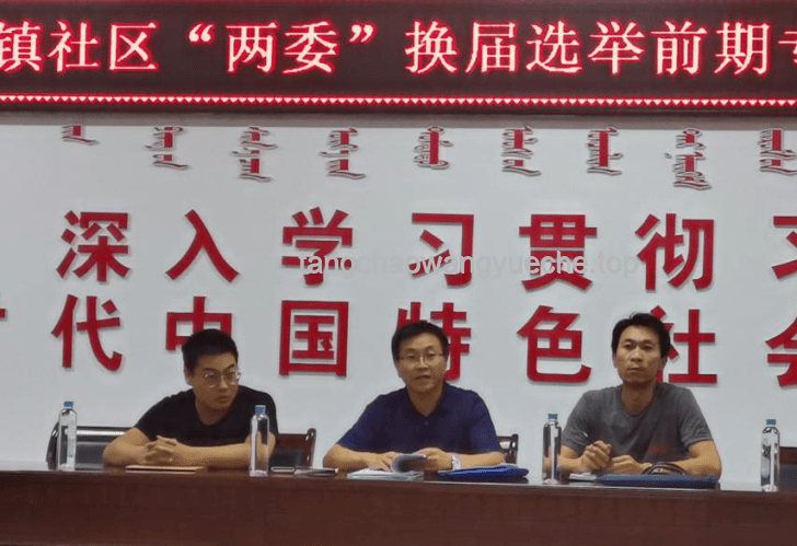 2025村兩委換屆新思維：跨界選人，重塑鄉(xiāng)村治理