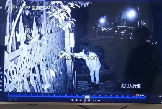 電鋸人夜女士：跨界重生與創(chuàng)新解讀的奇妙之旅