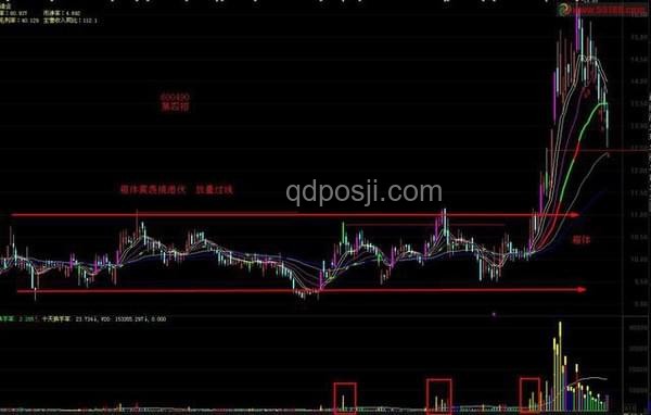 股市震蕩親歷記:超3300只個股下跌時的冷靜與策略 股市震蕩親歷記:超3300只個股下跌時的冷靜與策略
