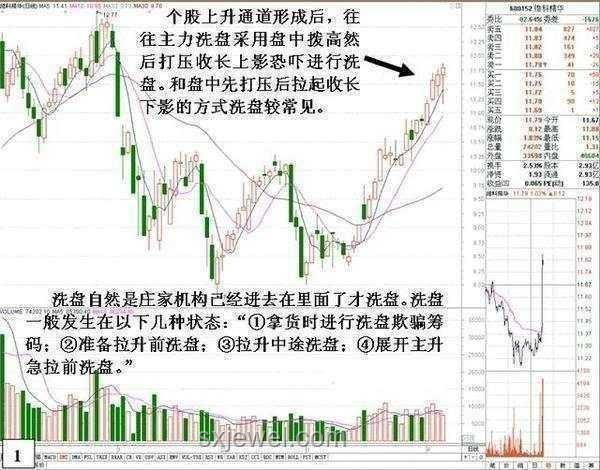 獨(dú)力復(fù)興溪流鱖魚:種群恢復(fù)與漁業(yè)新趨勢預(yù)測 獨(dú)力復(fù)興溪流鱖魚:種群恢復(fù)與漁業(yè)新趨勢預(yù)測