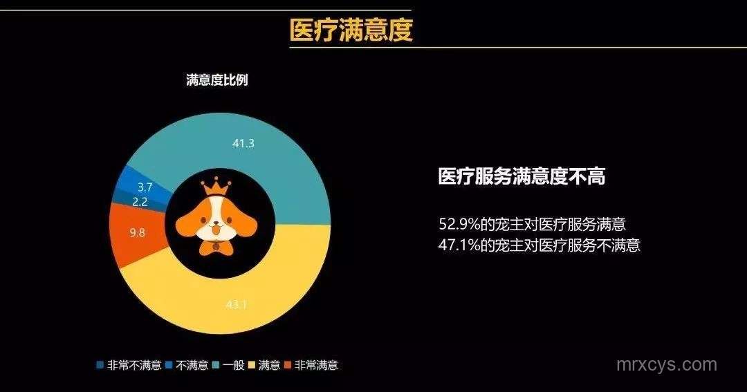 寵物短視頻爆火背后的行業(yè)洞察:貓內(nèi)容成流量密碼? 寵物短視頻爆火背后的行業(yè)洞察:貓內(nèi)容成流量密碼?