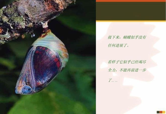 再一次又一次前進(jìn)吧,失敗者:逆境中的成長與蛻變策略 再一次又一次前進(jìn)吧,失敗者:逆境中的成長與蛻變策略