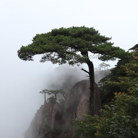 我的清涼家打造記：夏日避暑小妙招大公開