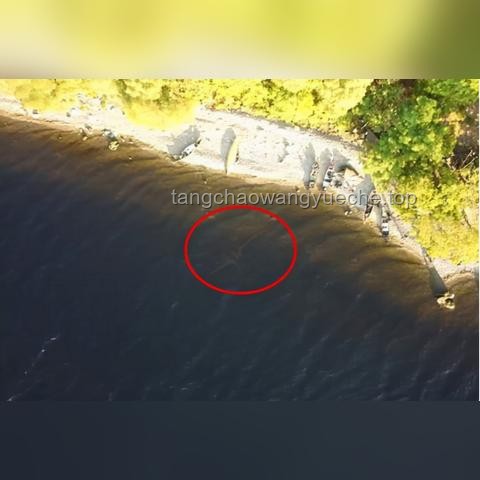 中國(guó)天空新巨獸:無(wú)人機(jī)領(lǐng)域的新突破 中國(guó)天空新巨獸:無(wú)人機(jī)領(lǐng)域的新突破