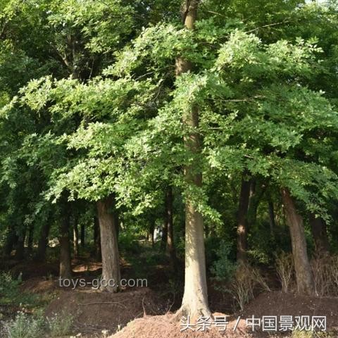 下半年財(cái)富增值:創(chuàng)新投資思維解鎖新“錢(qián)”途 下半年財(cái)富增值:創(chuàng)新投資思維解鎖新“錢(qián)”途
