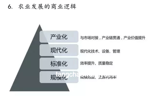 為何現(xiàn)代部分海龜湯游戲缺乏邏輯 為何現(xiàn)代部分海龜湯游戲缺乏邏輯