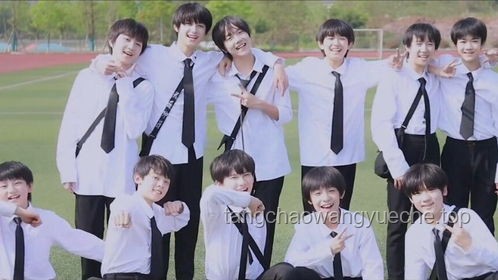 TF家族夏日運動會先導(dǎo)片:熱血與夢想的啟航?? TF家族夏日運動會先導(dǎo)片:熱血與夢想的啟航??
