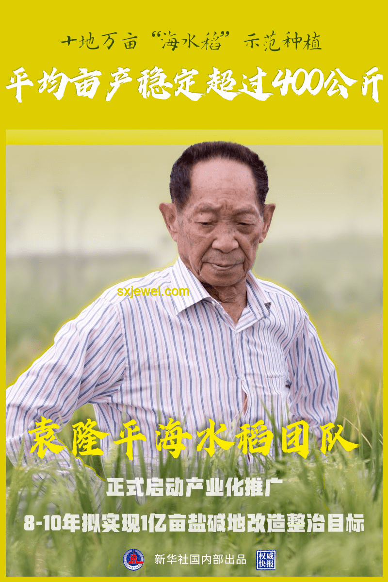 兒子楊議在楊少華去世后首發(fā)視頻：深情緬懷與輿論澄清的深度剖析